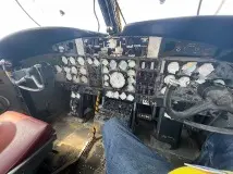 Caribou2